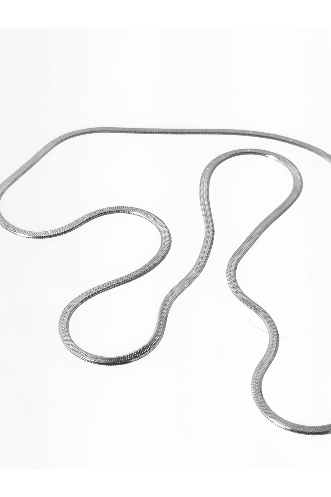 Serpent Silver Chain (Thick)